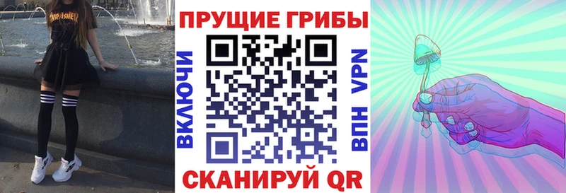 Галлюциногенные грибы Psilocybine cubensis  как найти   Лысково 